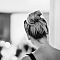 Hochzeit-Elisabeth-Martin-450.jpg